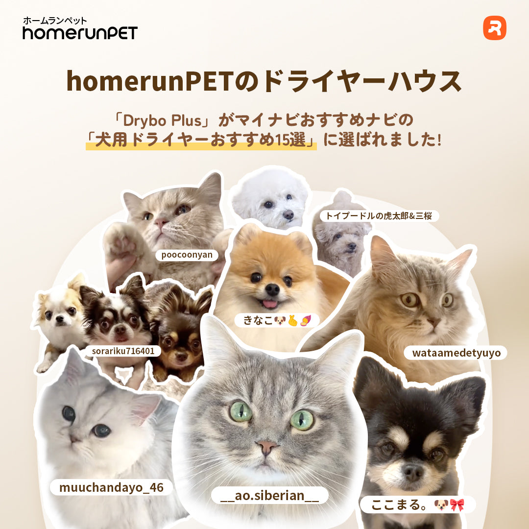 homerunPETのドライヤーハウス「Drybo Plus」がマイナビおすすめナビの「犬用ドライヤーおすすめ15選」に選ばれました！ –  homerunPET Japan