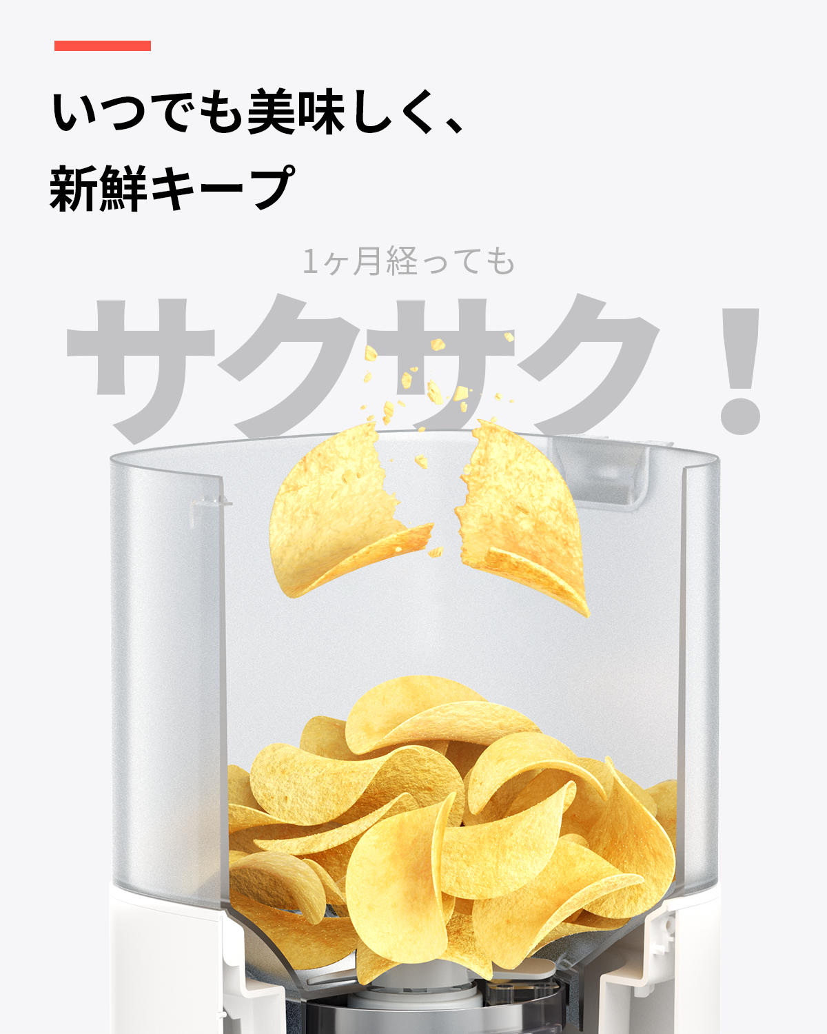 homerunPET スマートペットフィーダー 自動給餌器 - homerunPET Japan