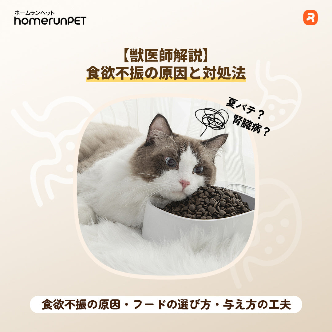 【夏バテ？腎臓病？】愛犬・愛猫が急にごはんを食べない…食欲不振の理由と今すぐできるとっておきの対処法