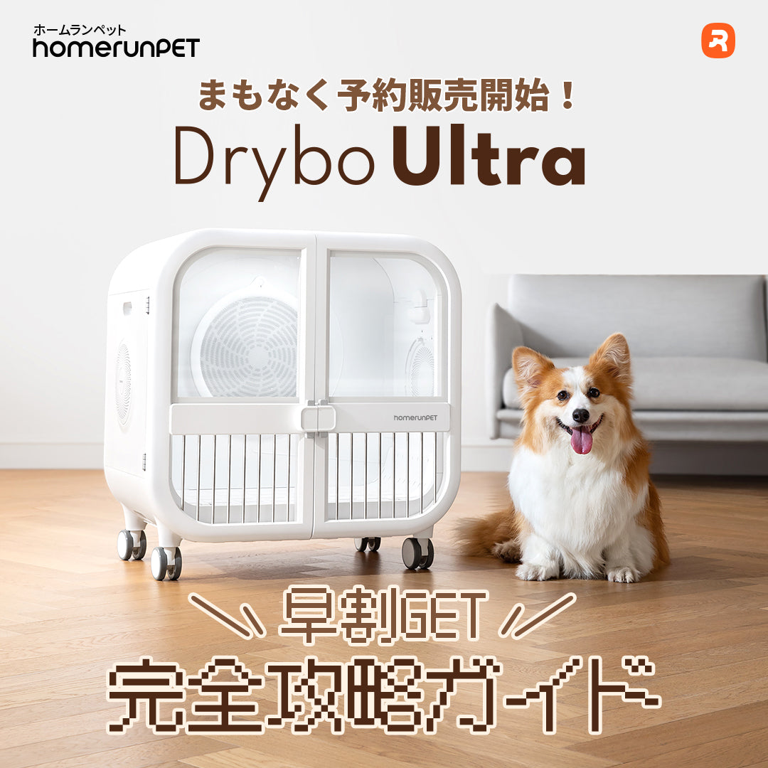 「Drybo Ultra」予約販売攻略ガイド