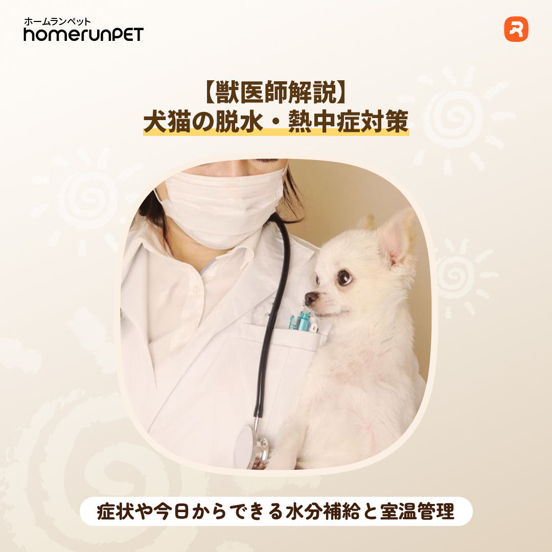 【獣医師解説】犬猫の脱水・熱中症対策｜症状や今日からできる水分補給と室温管理