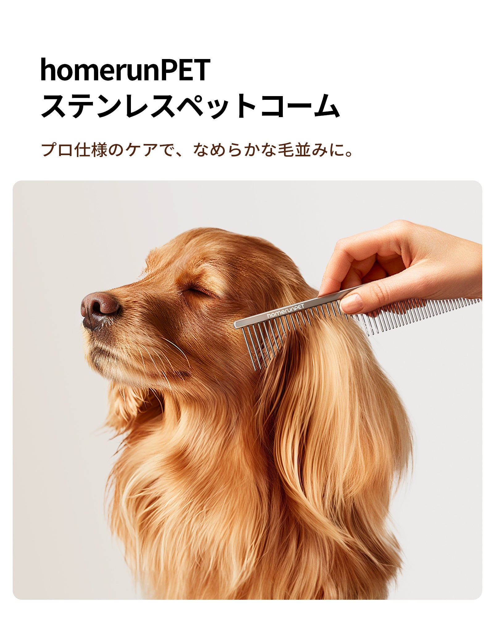 homerunPET ステンレスペットコーム