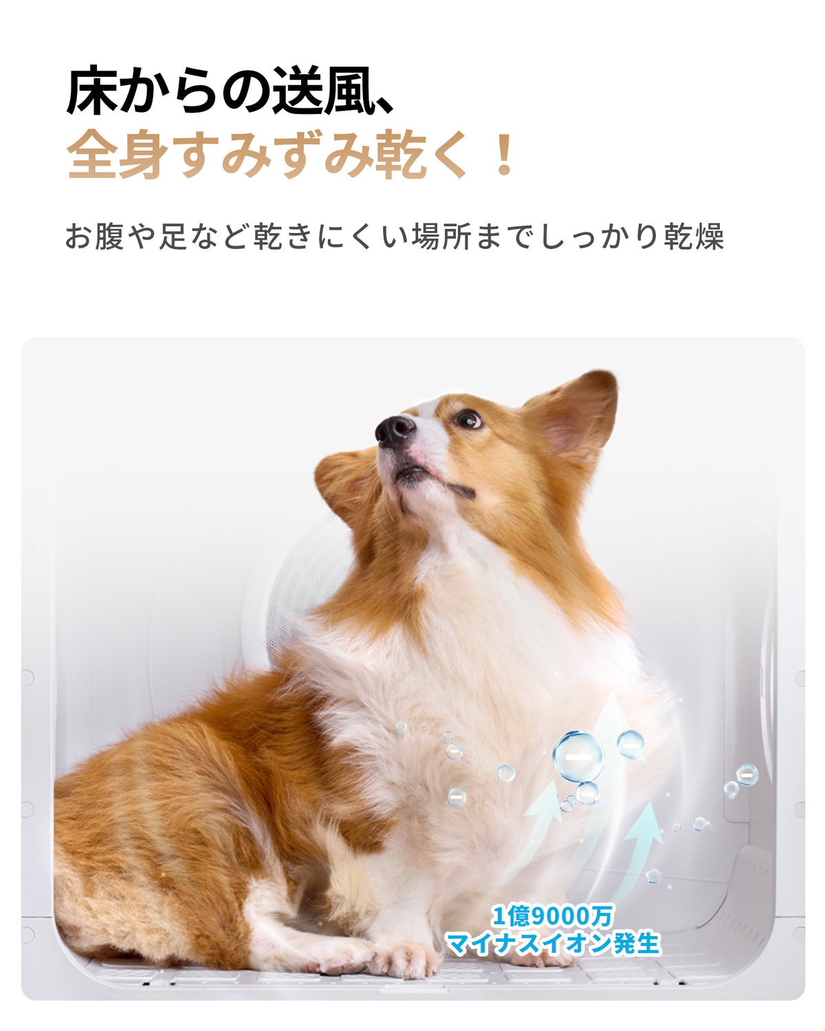 homerunPET 「Drybo Ultra」ペットドライヤーハウス（9月中旬発送）