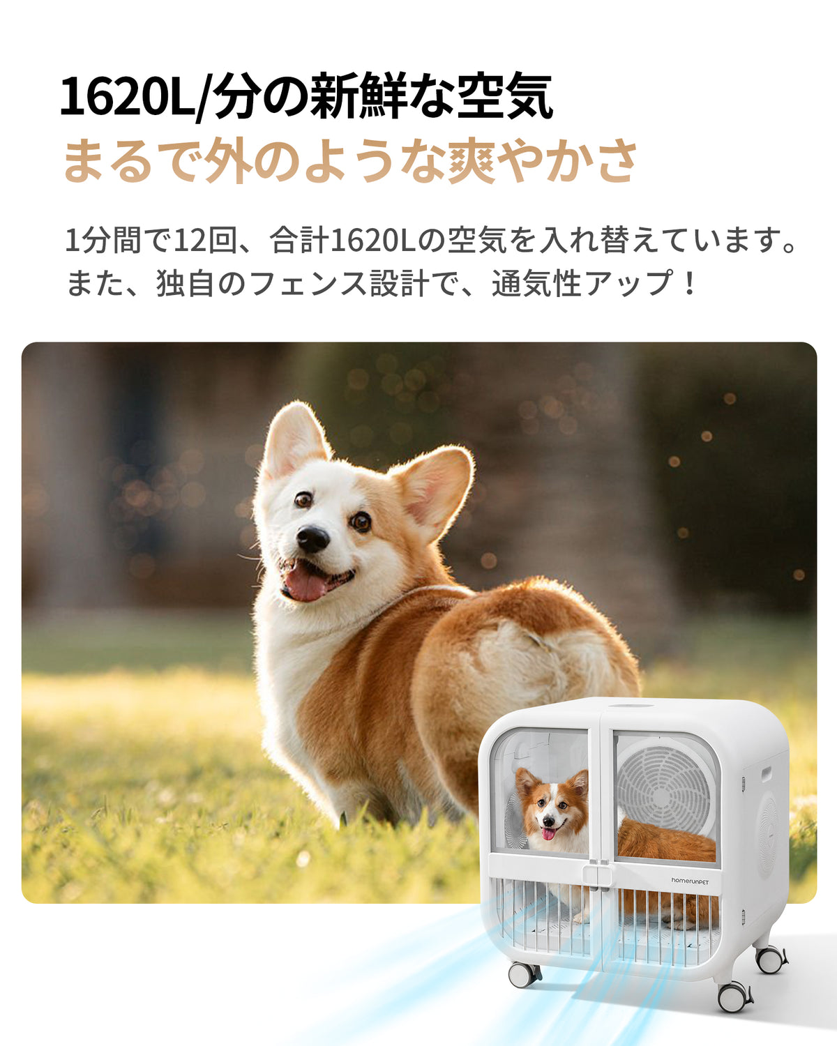 homerunPET 「Drybo Ultra」ペットドライヤーハウス（9月中旬発送）