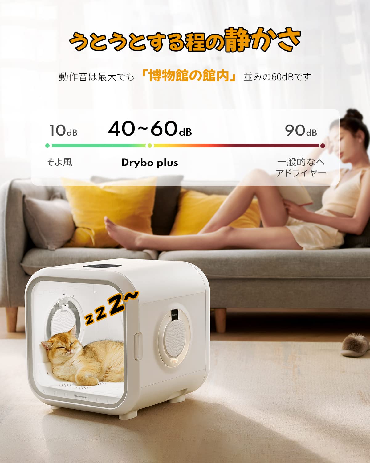 ペット用品)Homerunpet Drybo Plus - 犬用品