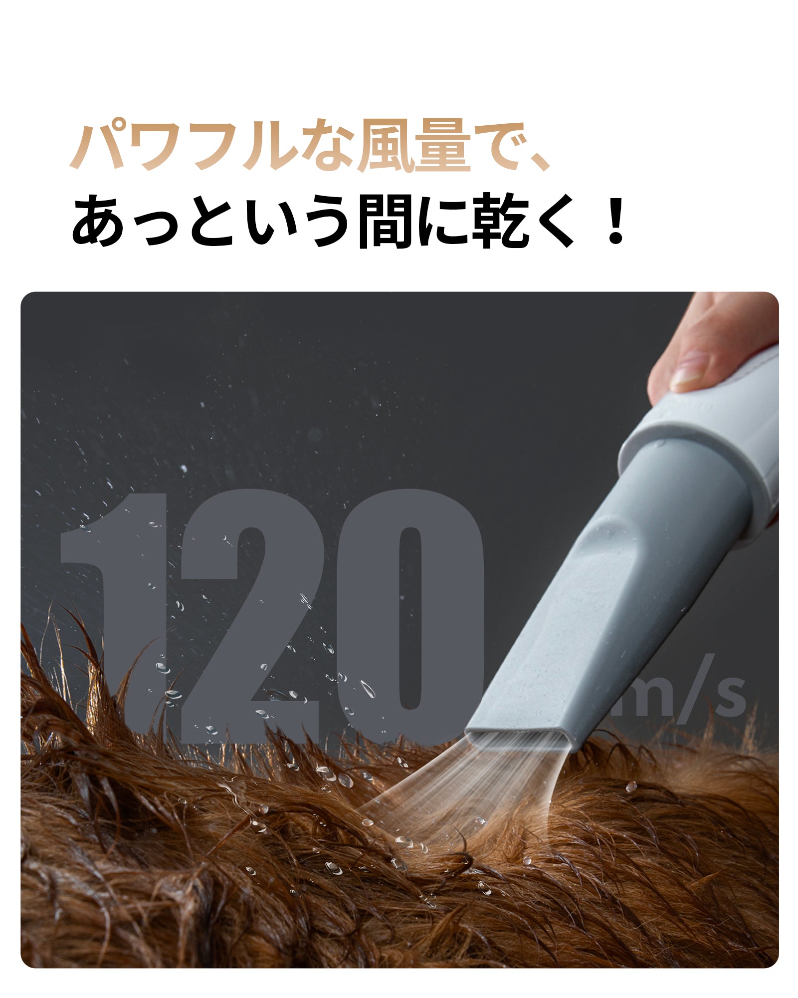 homerunPET ペットブロワー – homerunPET Japan
