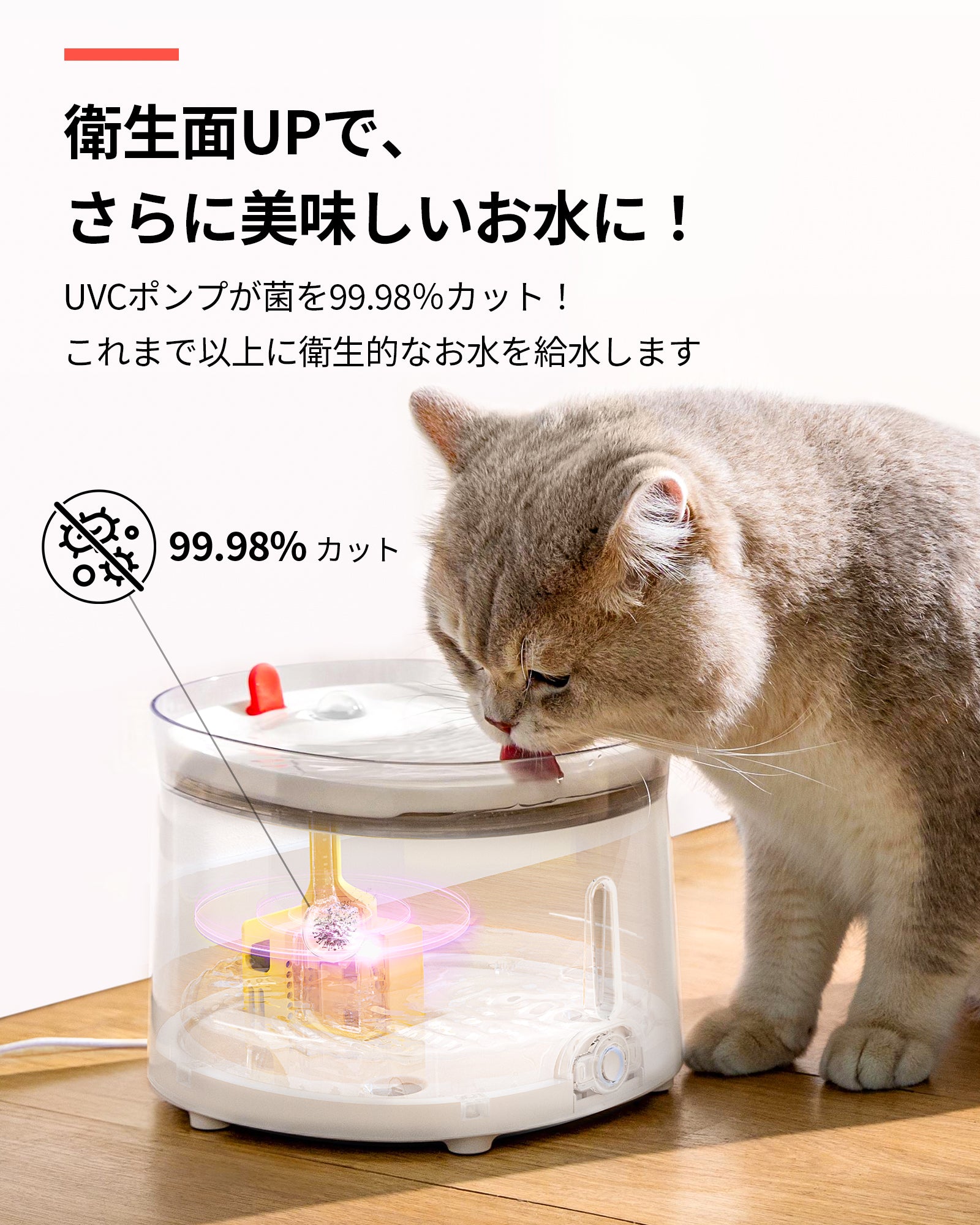 homerunPET ペットウオーターファウンテン Pro - homerunPET Japan